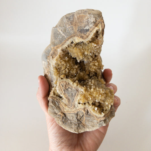 Septarian nodule found in Muddy Creek Orderville Utah