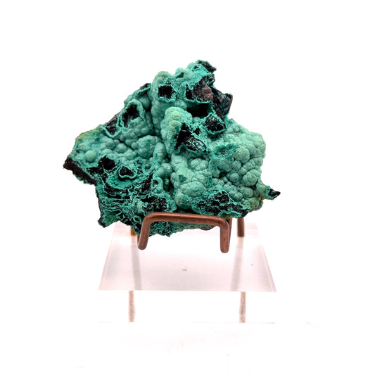 Chrysocolla from Planet Mine, Arizona